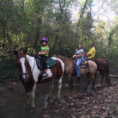 Sls Cattle Drive Setsugars Legacy Stables Sls Cattle Drive Setsugars Legacy Stables